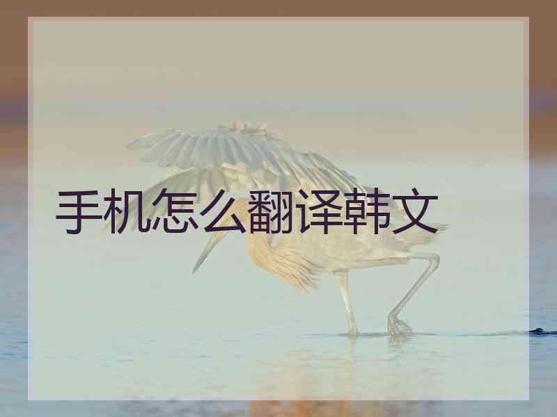 手机怎么翻译韩文