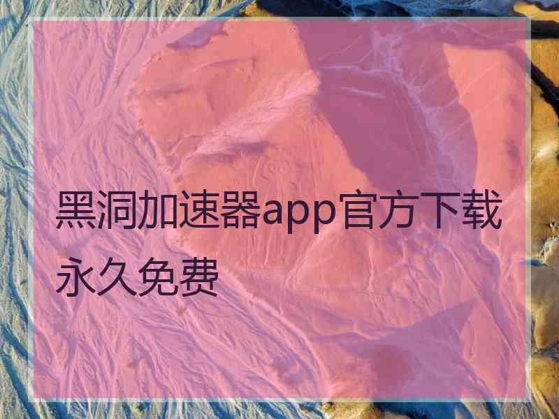 黑洞加速器app官方下载永久免费