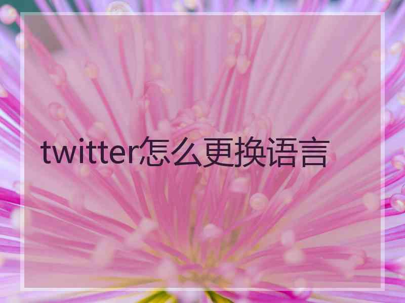 twitter怎么更换语言