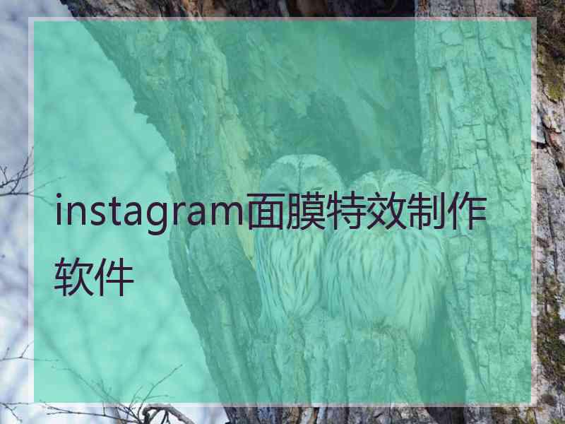 instagram面膜特效制作软件