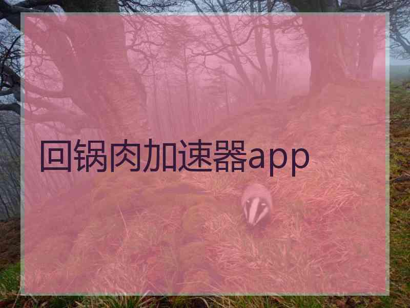 回锅肉加速器app