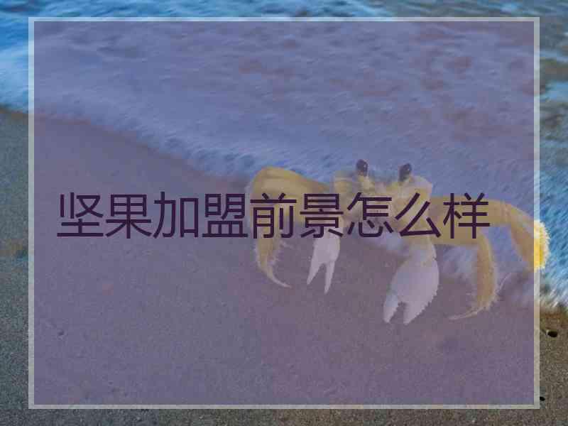 坚果加盟前景怎么样