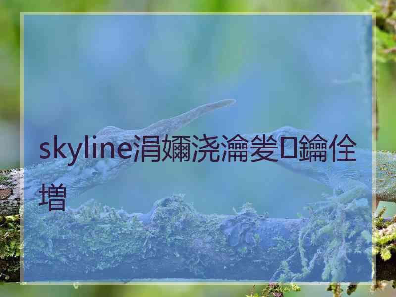 skyline涓嬭浇瀹夎鑰佺増