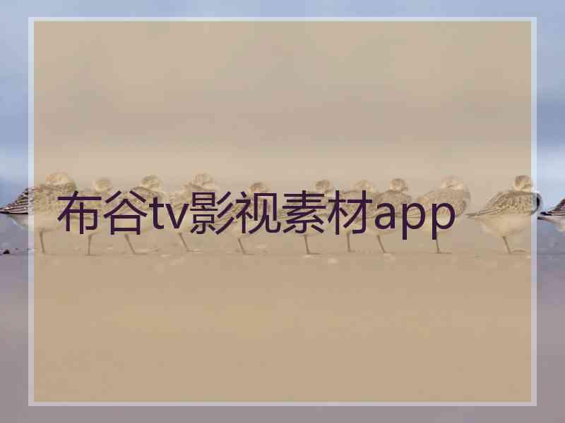 布谷tv影视素材app