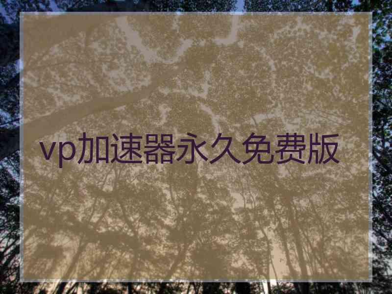 vp加速器永久免费版