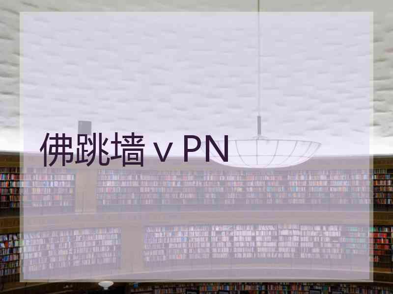 佛跳墙ⅴPN