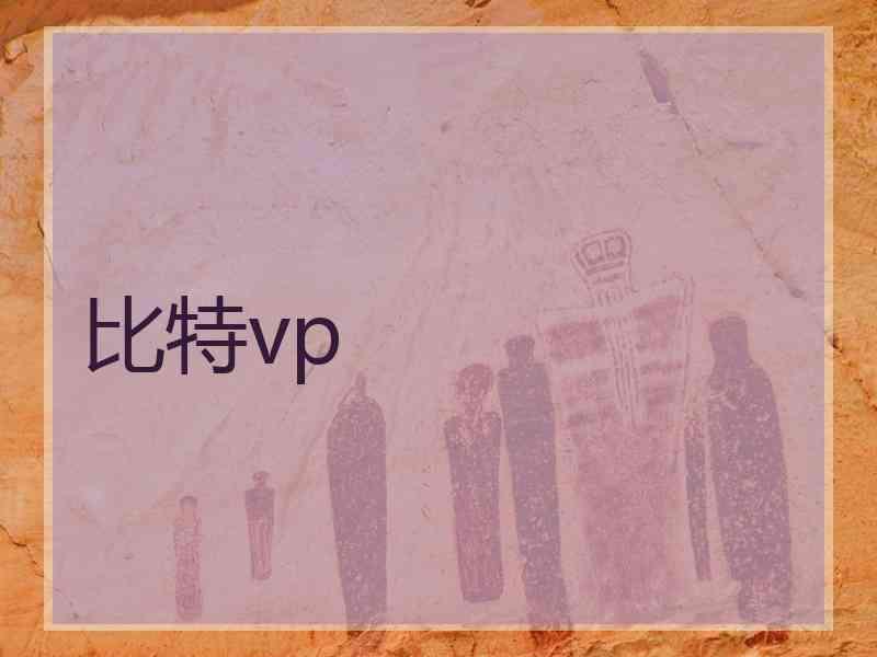 比特vp