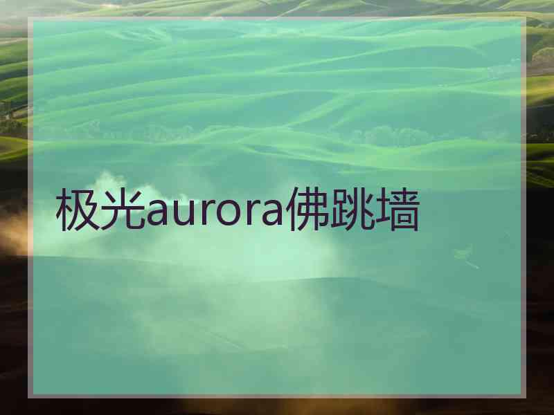 极光aurora佛跳墙