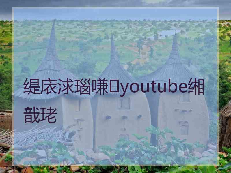 缇庡浗瑙嗛youtube缃戠珯