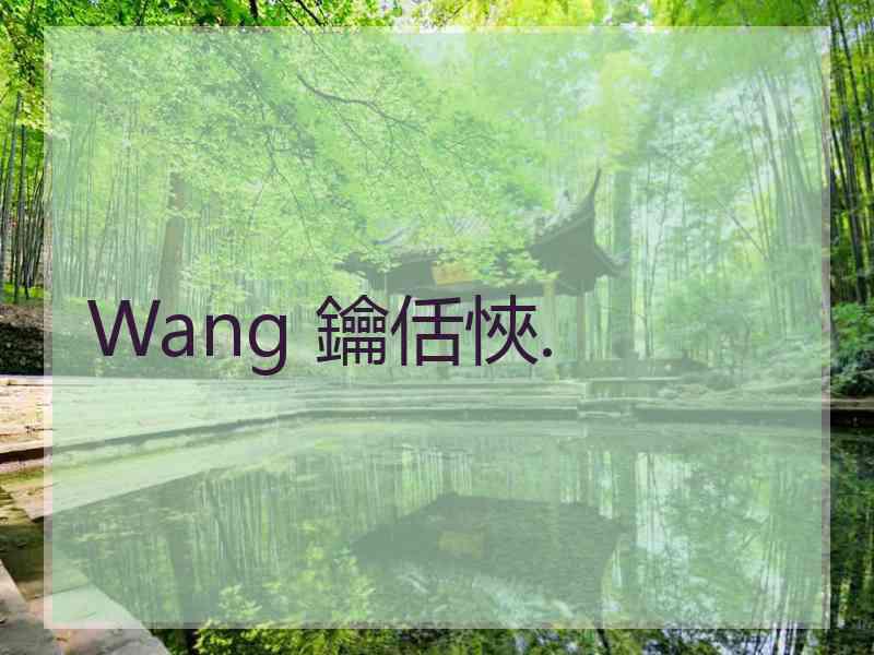 Wang 鑰佸悏.