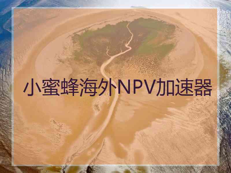 小蜜蜂海外NPV加速器