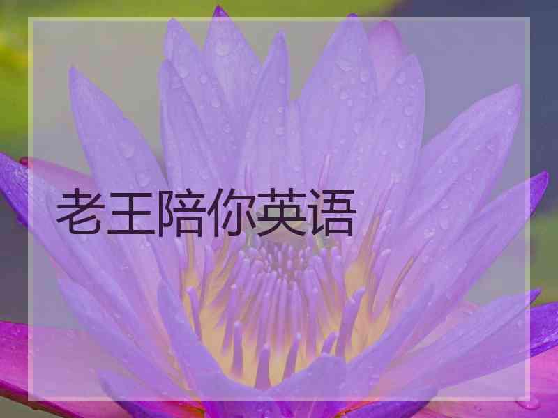 老王陪你英语