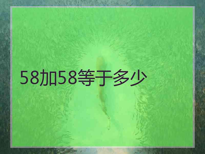 58加58等于多少