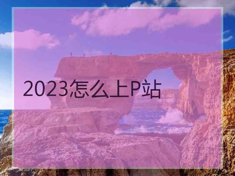 2023怎么上P站