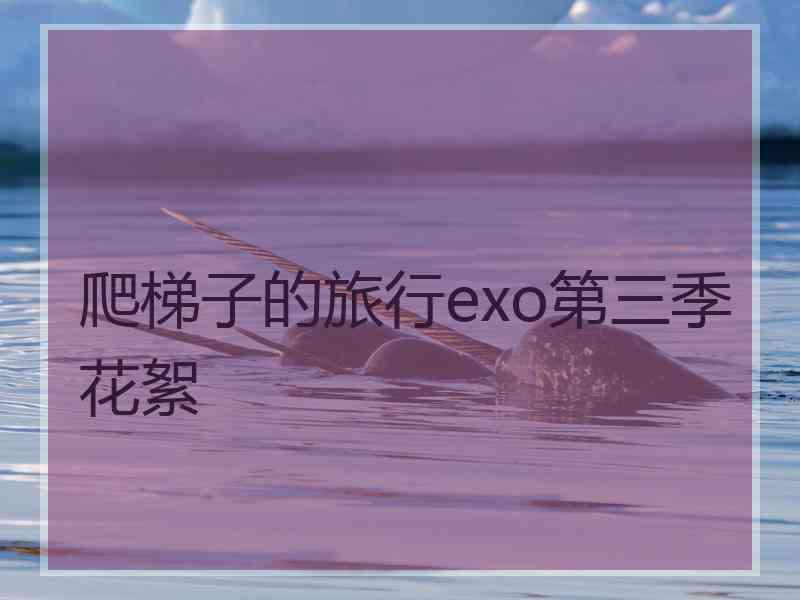 爬梯子的旅行exo第三季花絮