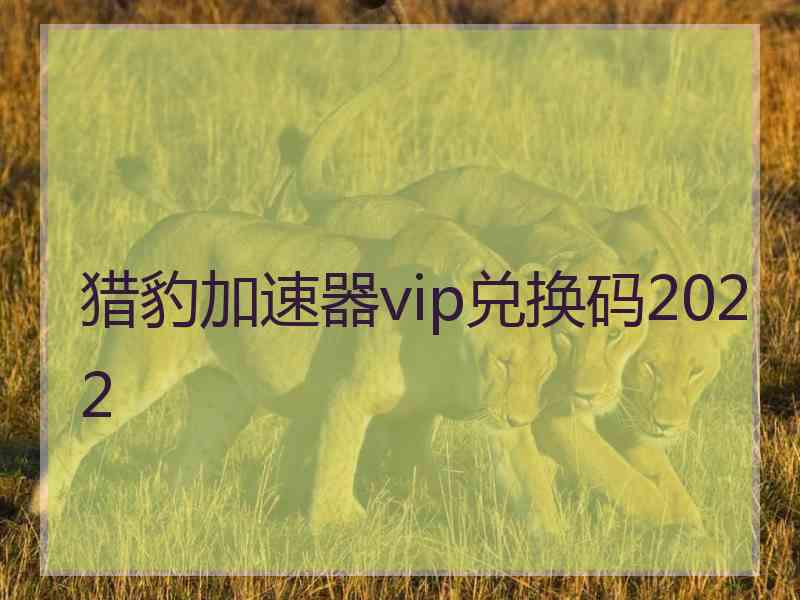 猎豹加速器vip兑换码2022