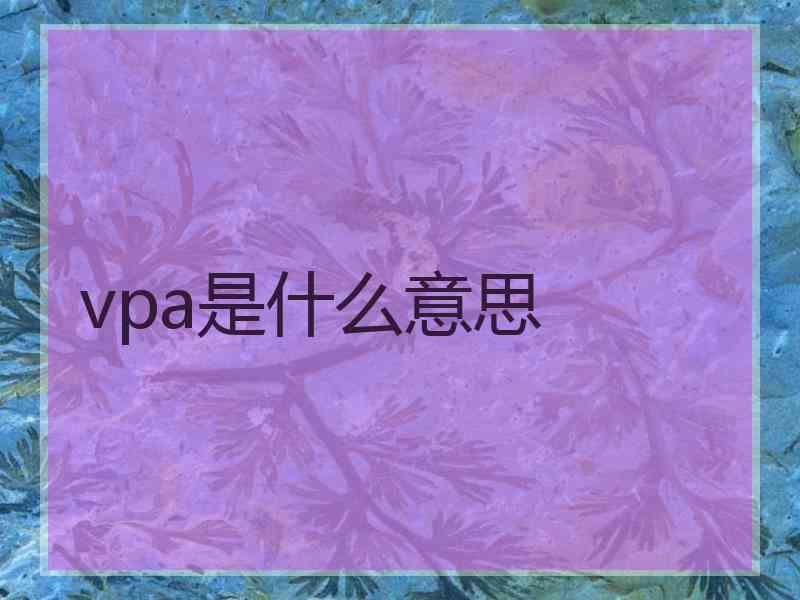 vpa是什么意思