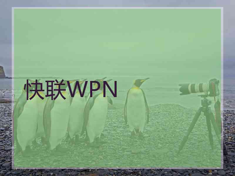 快联WPN