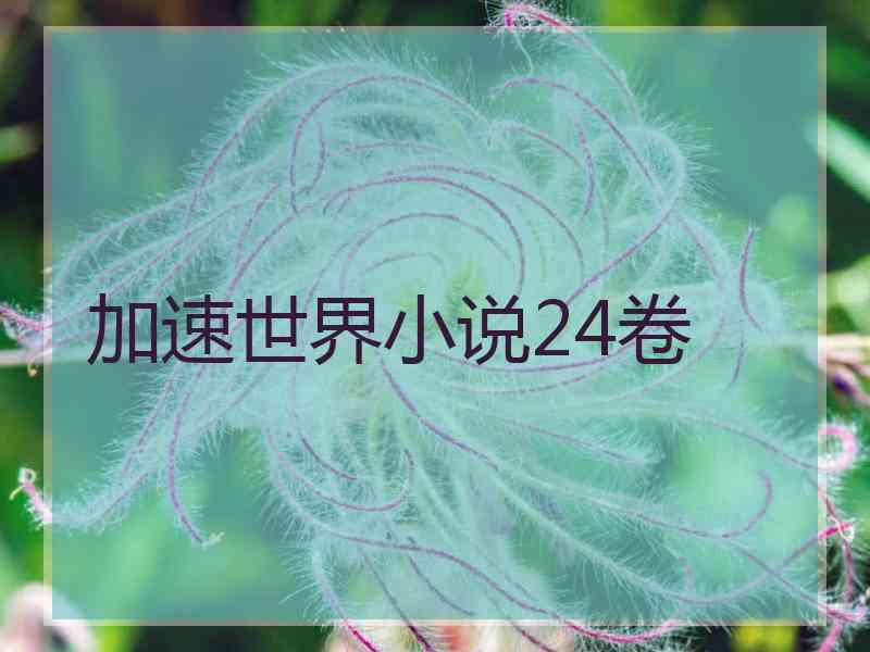 加速世界小说24卷