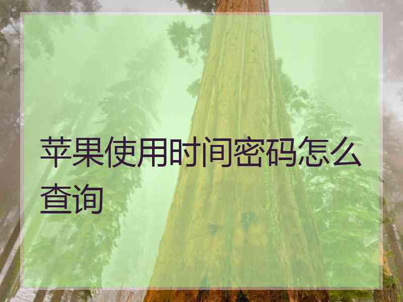 苹果使用时间密码怎么查询