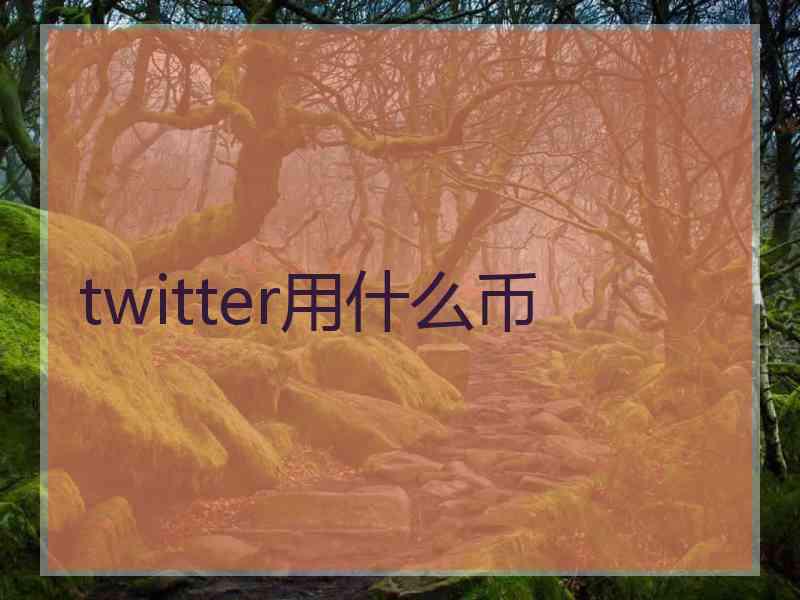 twitter用什么币