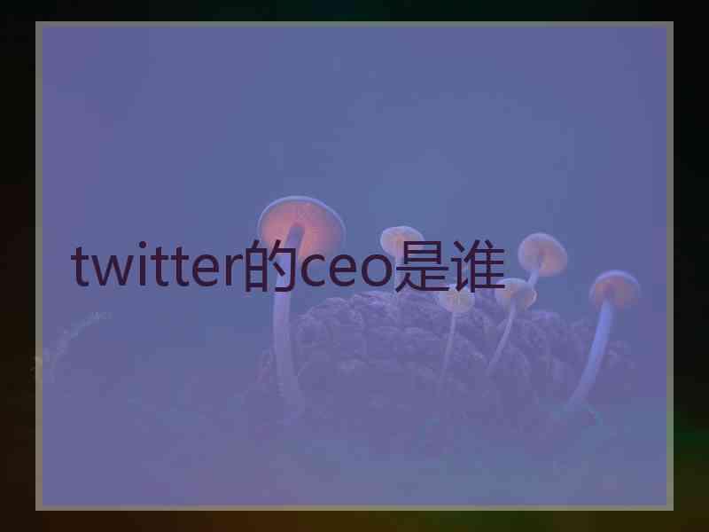 twitter的ceo是谁