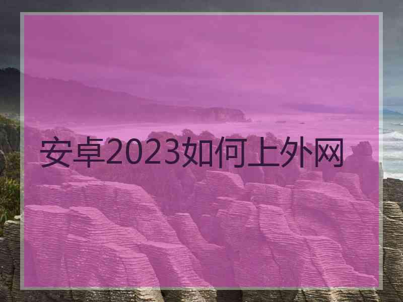 安卓2023如何上外网