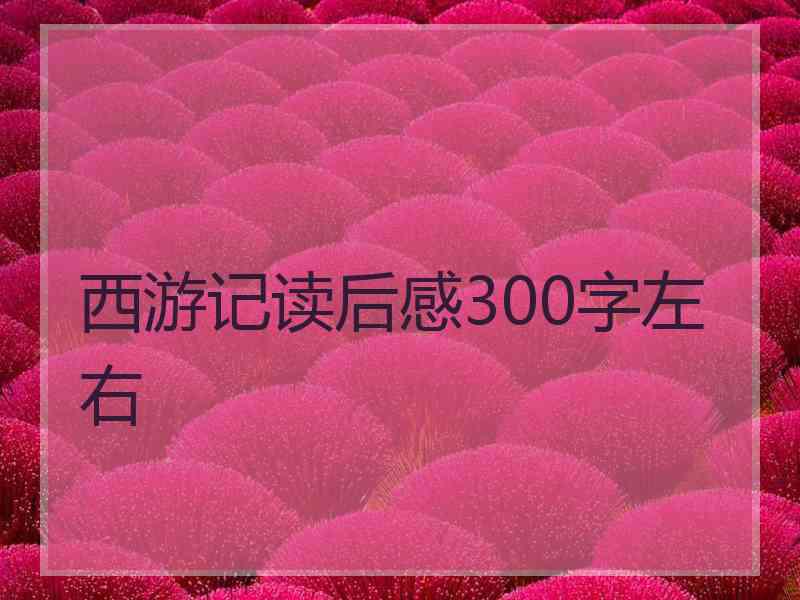 西游记读后感300字左右