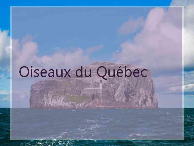 Oiseaux du Québec