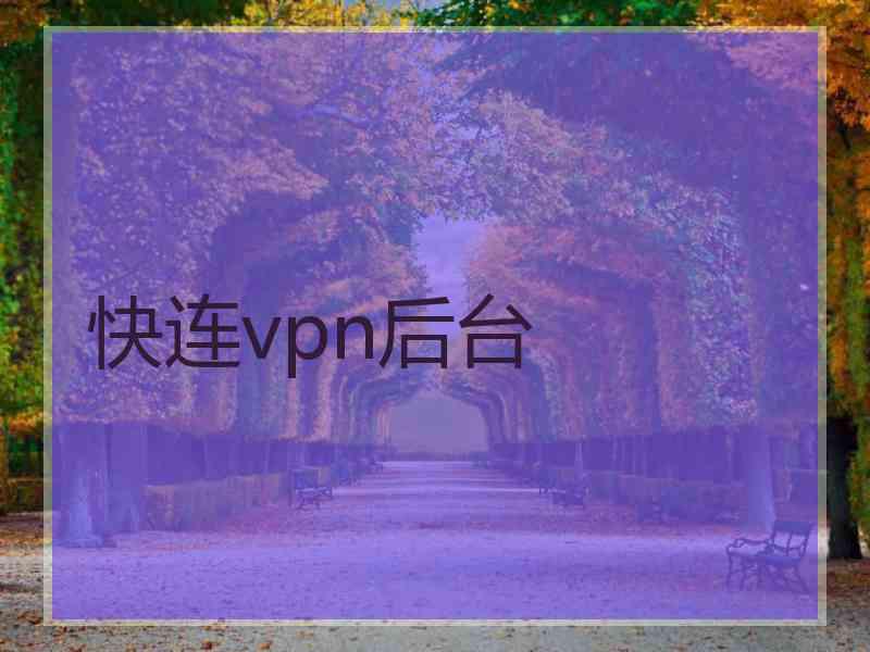 快连vpn后台