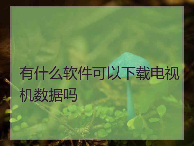 有什么软件可以下载电视机数据吗