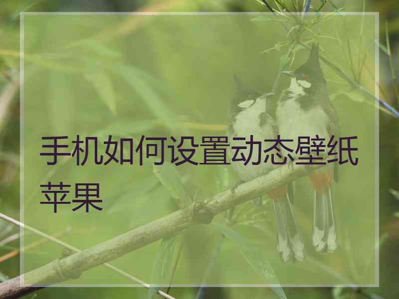 手机如何设置动态壁纸苹果