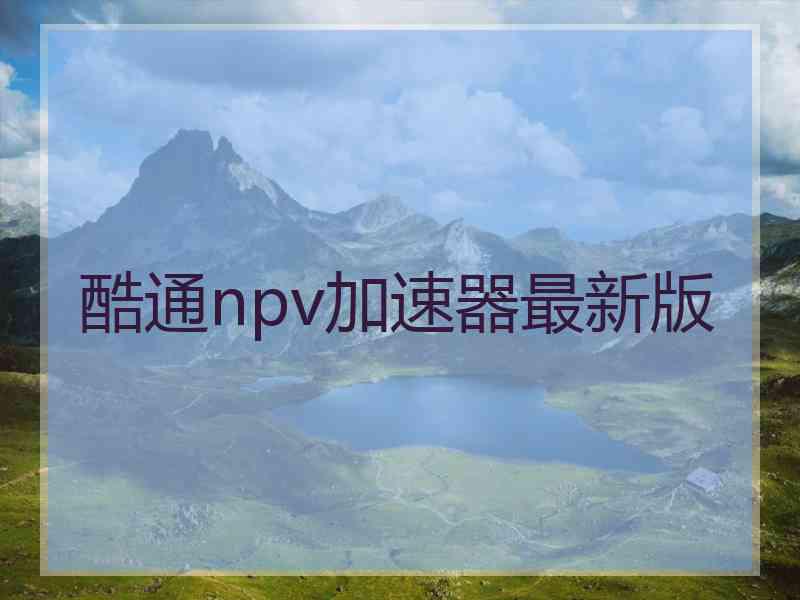 酷通npv加速器最新版