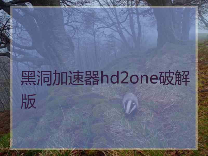 黑洞加速器hd2one破解版