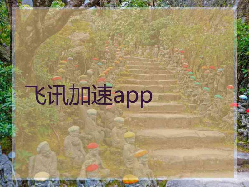 飞讯加速app