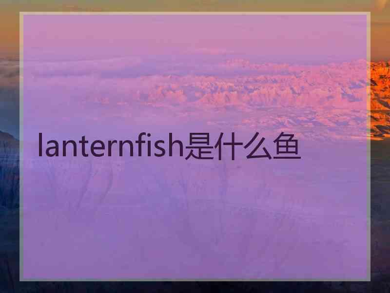 lanternfish是什么鱼