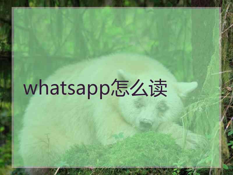 whatsapp怎么读