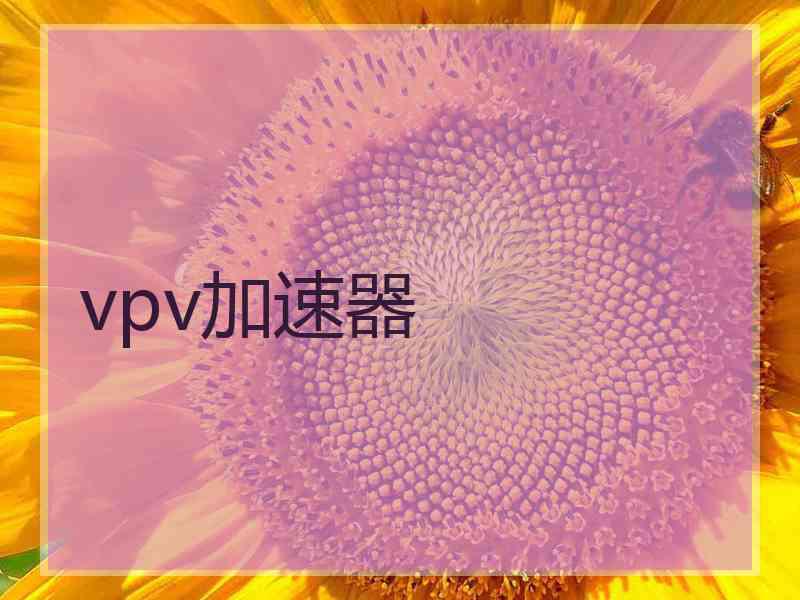 vpv加速器