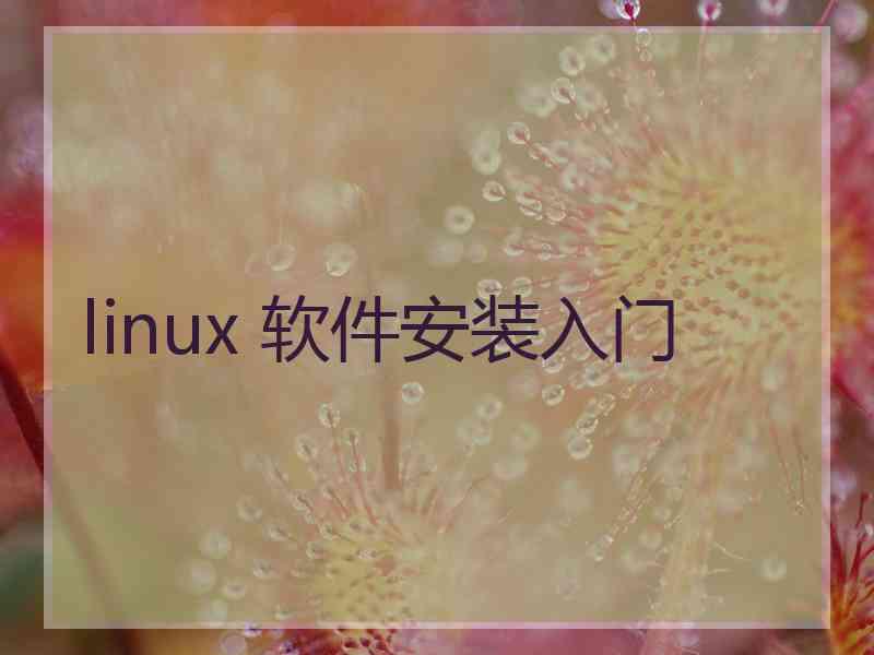 linux 软件安装入门