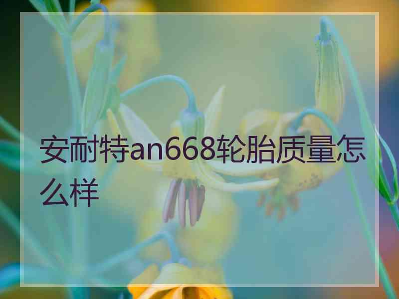 安耐特an668轮胎质量怎么样