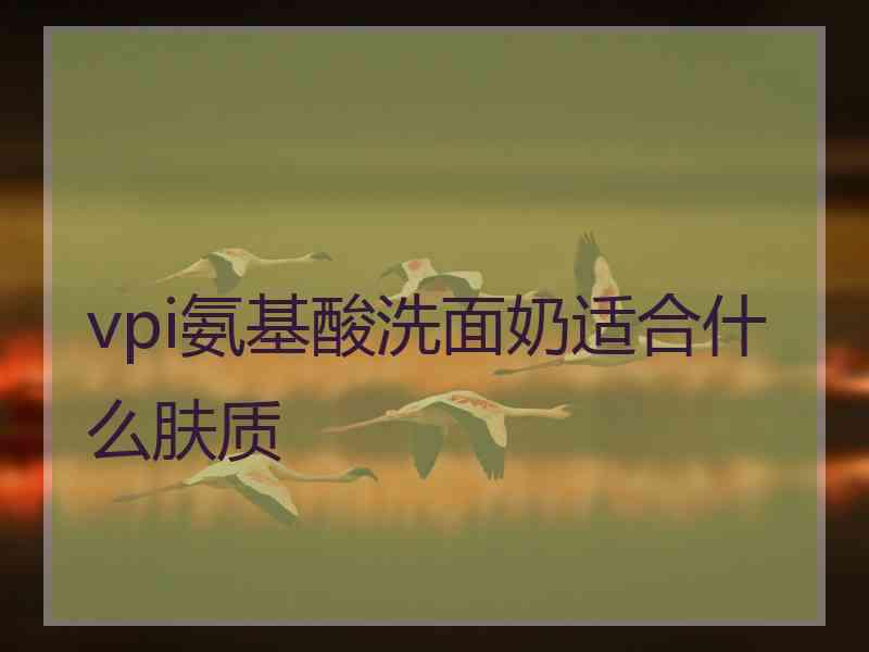 vpi氨基酸洗面奶适合什么肤质