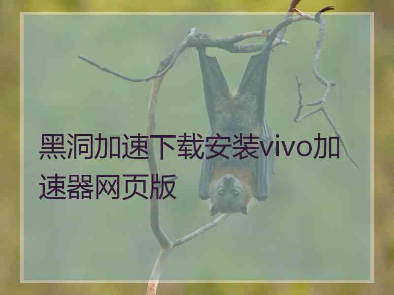 黑洞加速下载安装vivo加速器网页版