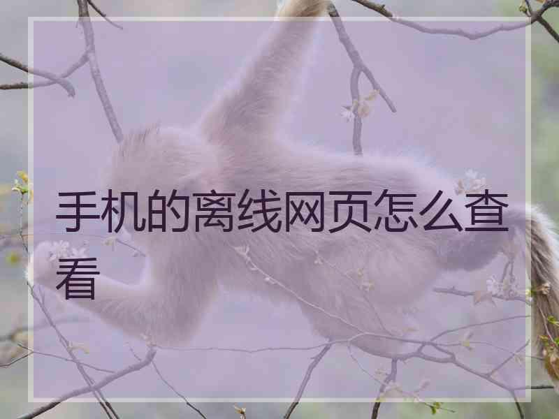 手机的离线网页怎么查看