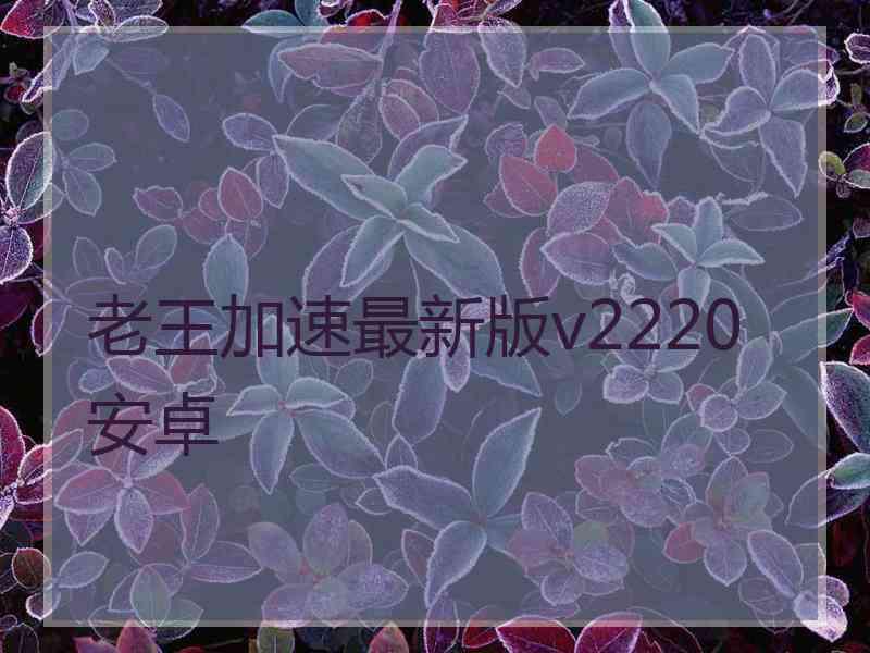 老王加速最新版v2220安卓