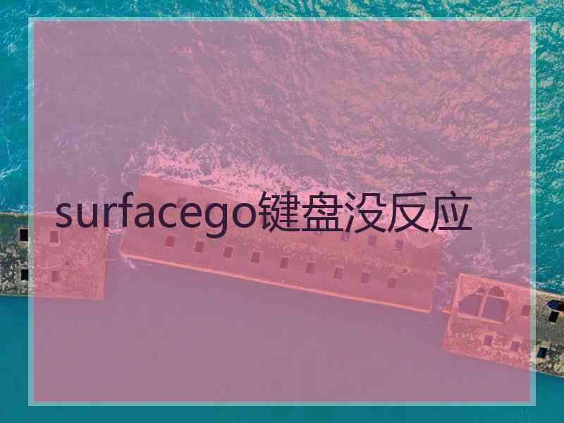 surfacego键盘没反应