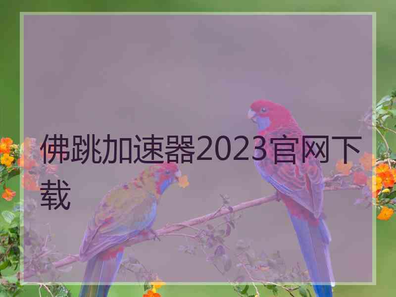 佛跳加速器2023官网下载