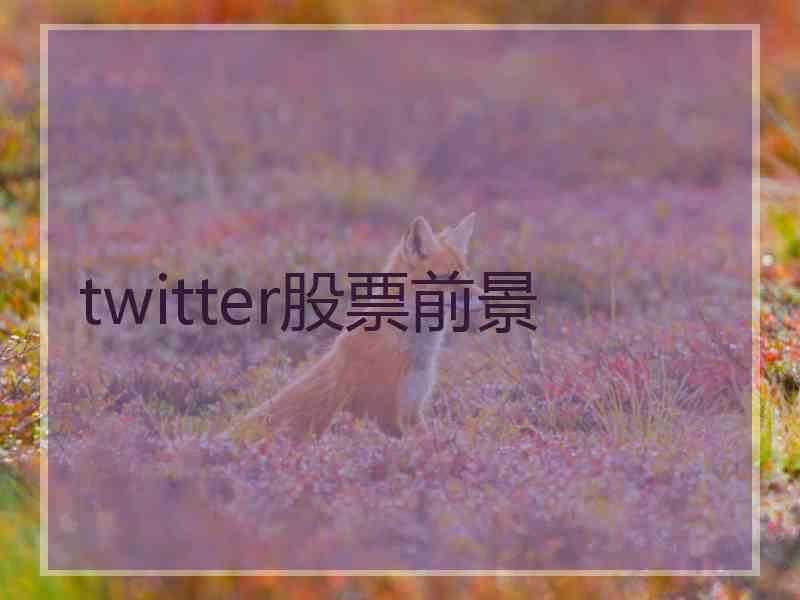 twitter股票前景