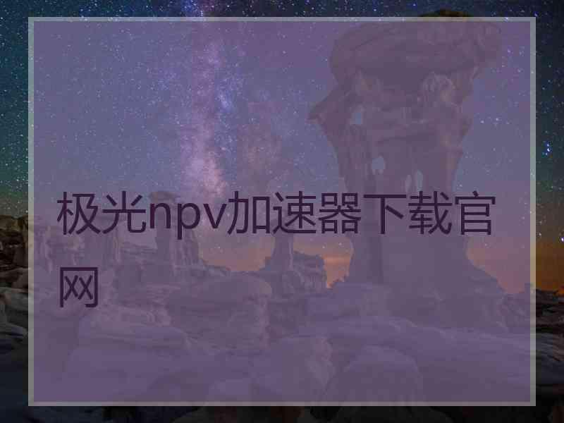 极光npv加速器下载官网