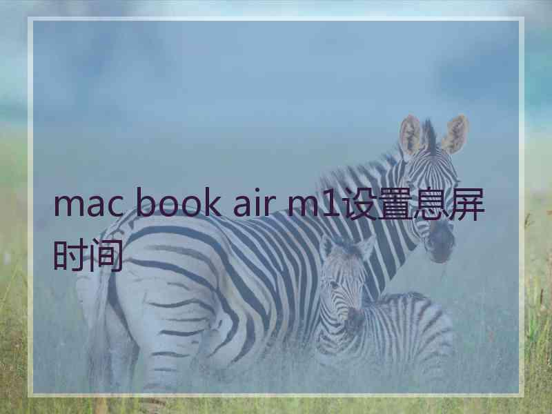 mac book air m1设置息屏时间