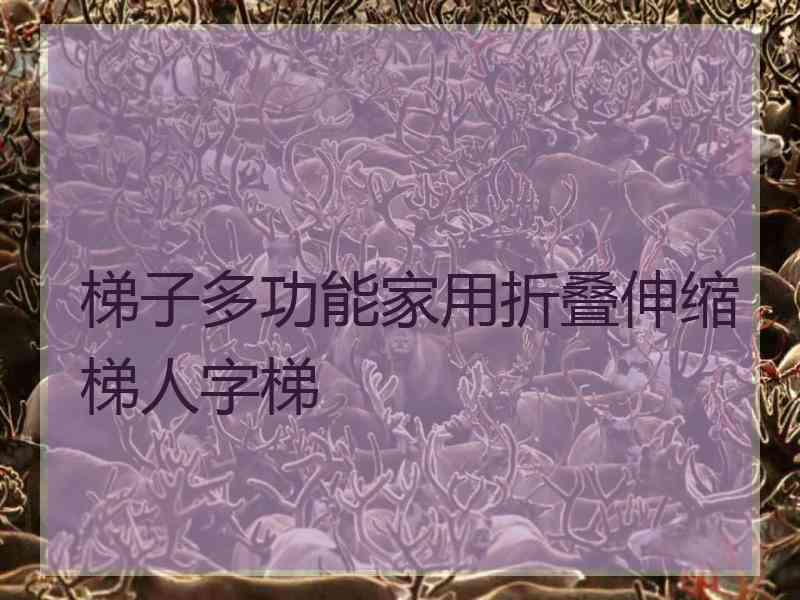 梯子多功能家用折叠伸缩梯人字梯